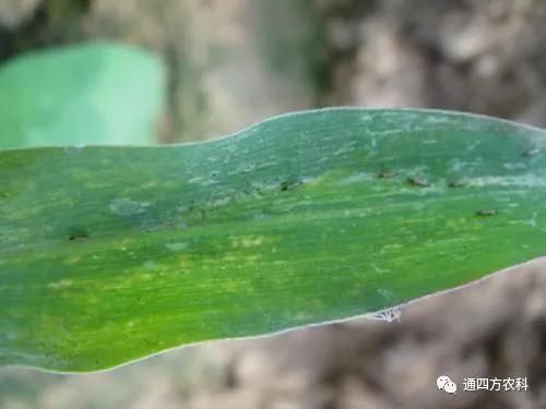 ���הQ����ô�k����ץ�o��Q��Ӱ푮a(ch��n)��!!!