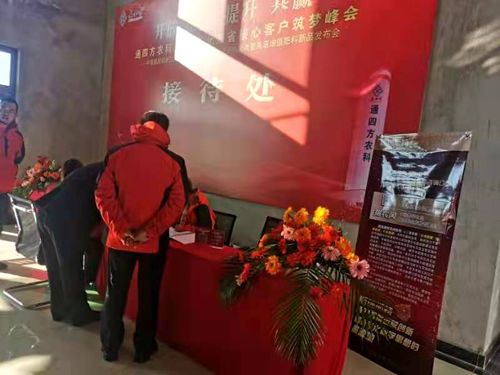 ����_������|����ʡ����